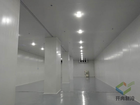 建造5000m3工業(yè)自動(dòng)化冷庫安裝費(fèi)用價(jià)格是多少？