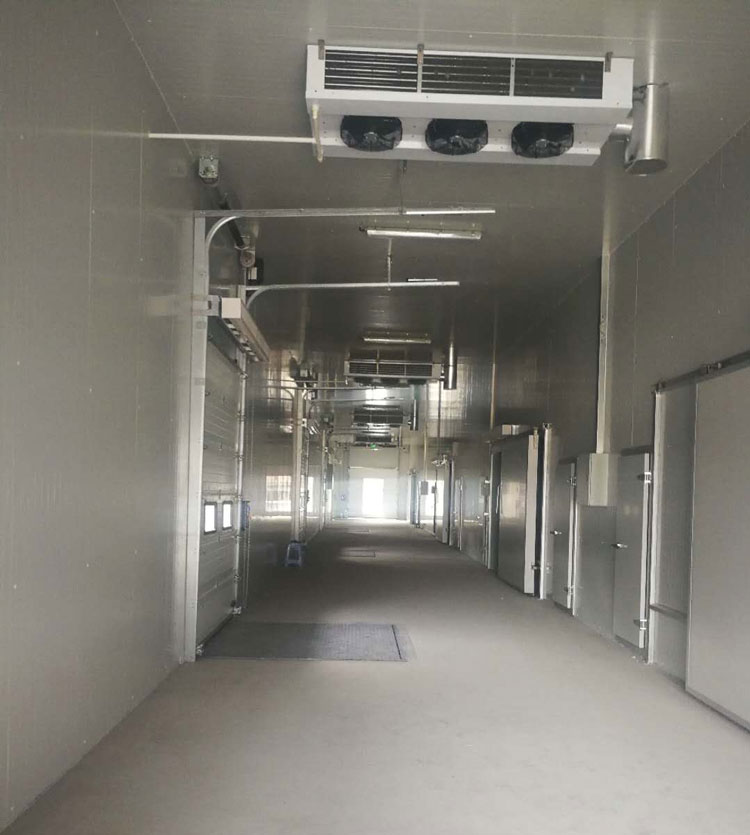 -25℃低溫海鮮魚肉加工廠冷凍庫安裝設計標準費用多少？